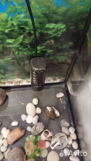 Аквариум для черепах
