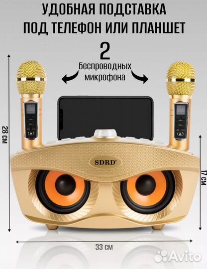 Караоке система 2 микрофонами sdrd SD-306 Plus