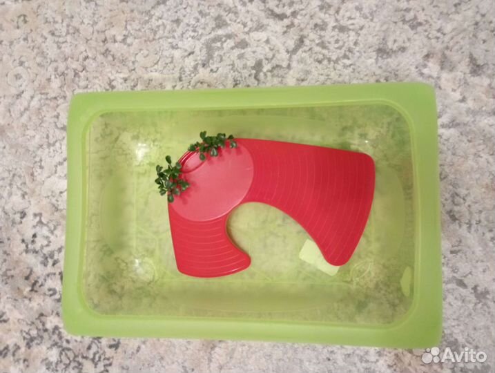 Аквариум для черепах