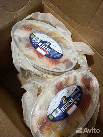 Рыба Сибири