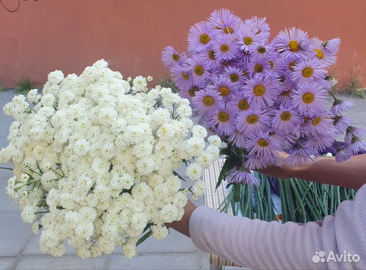 Букеты по 300р представлены размер на фото