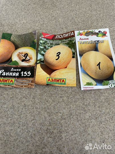 Рассада овощей