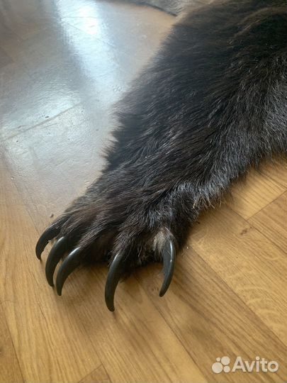 Шкура медведя имитация