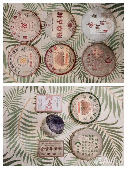 Чай пуэр в ассортименте