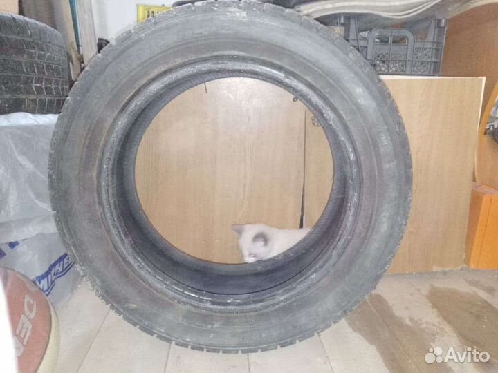 Dunlop Graspic DS3 205/55 R16