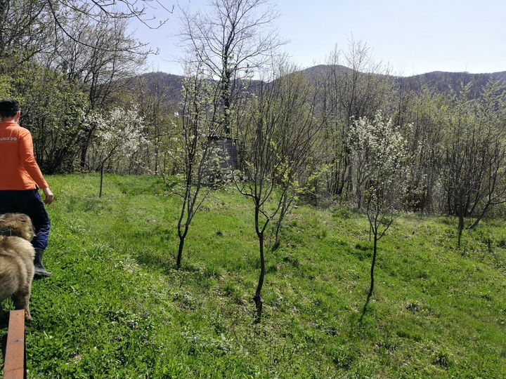 Дача 28 м² на участке 5 сот.