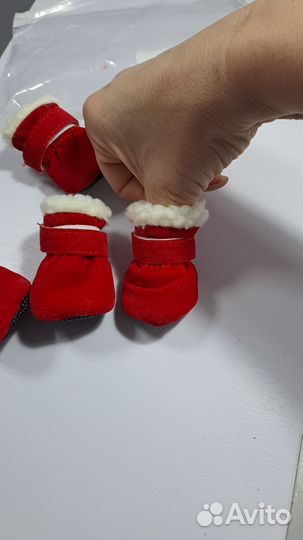 Обувь для маленьких собак