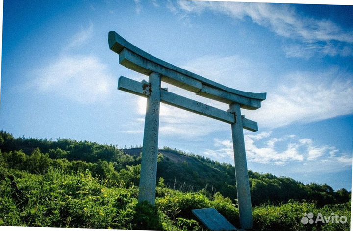 Летом на Сахалин турпутевка экскурсия до 6 дн