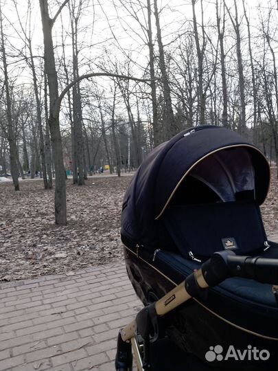 Коляска 2 в 1 adamex