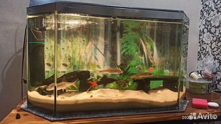 Аквариум