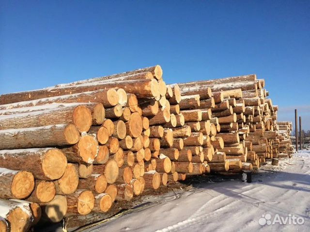 Лес кругляк пиловочник сосна купить в Красноярске | Товары для дома и ...