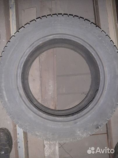 Cordiant Polar 195/65 R15