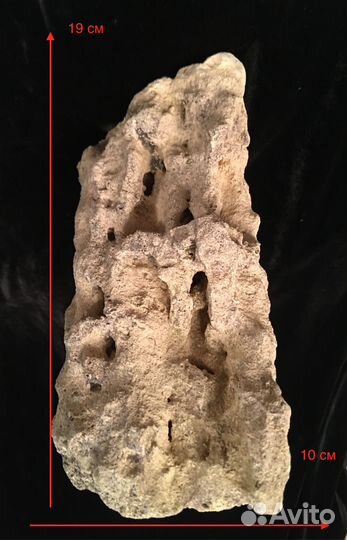 Декорация, декор в аквариум / амфора, растения