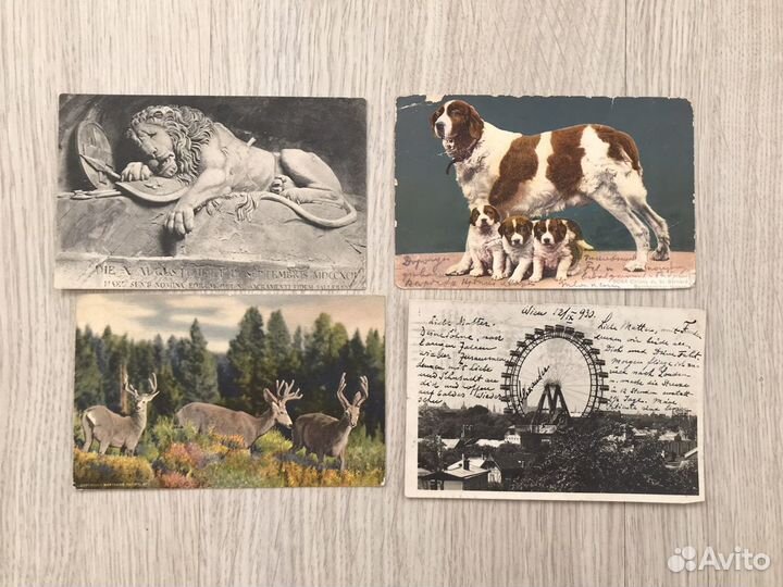 Почтовые карточки/ открытки/ набор открыток