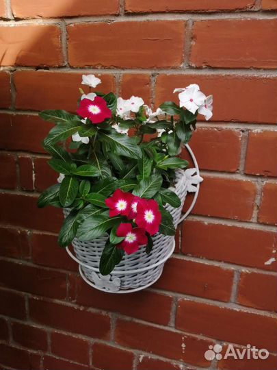 Белое кашпо из искусственного ротанга 5л