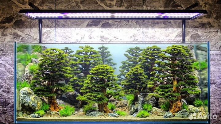 Подводный лес в аквариуме