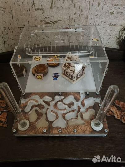 Муравьиная ферма