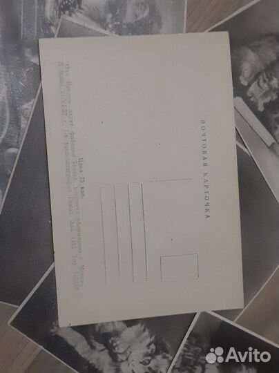 Почтовые карточки СССР