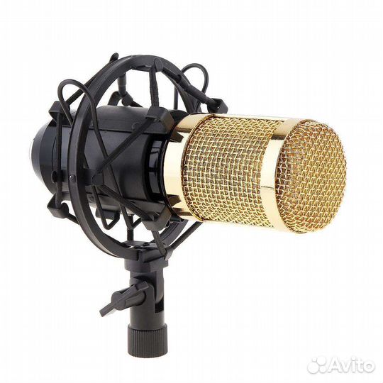 Профессиональный конденсатор микрофон