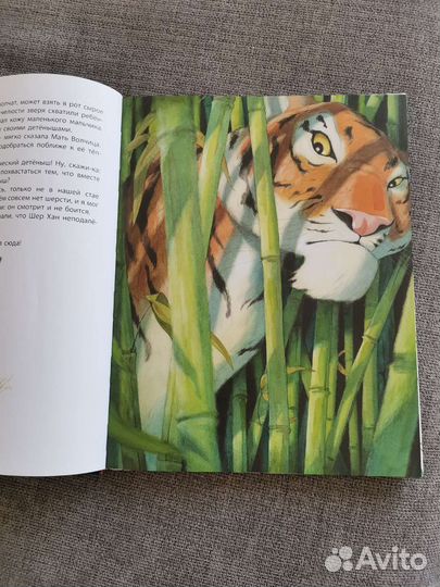 Маугли, книга джунглей