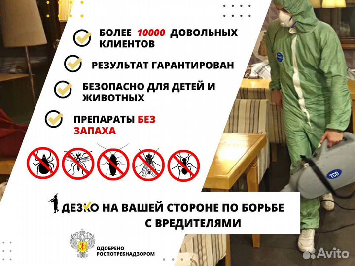 Уничтожение клопов тараканов клещей плесени