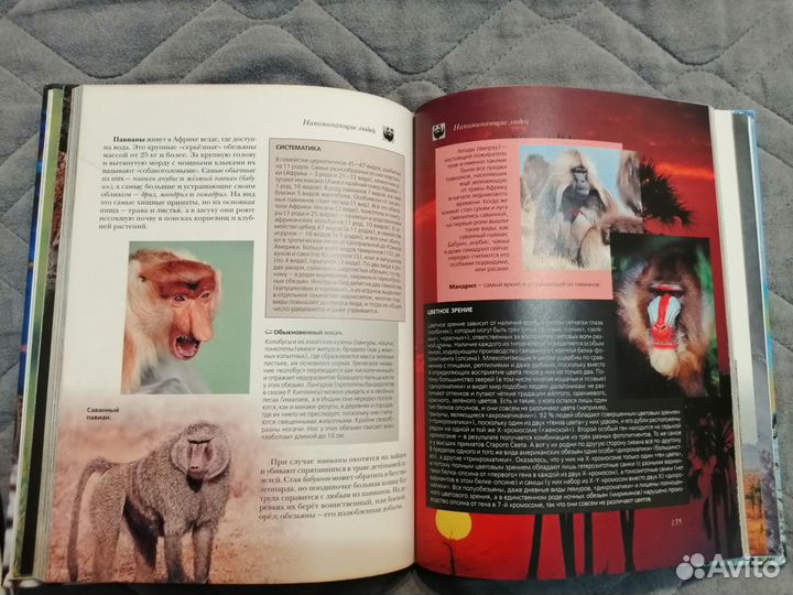 Энциклопедии