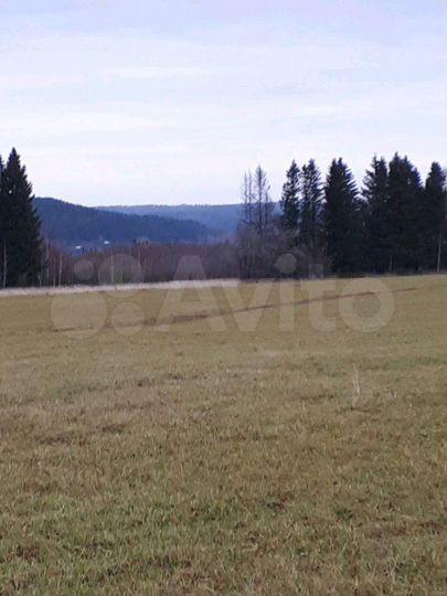 Участок 10 сот. (ИЖС)