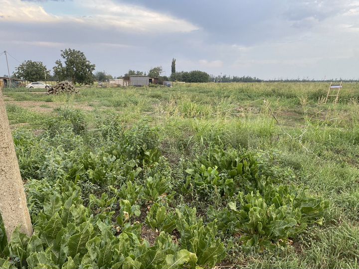 Участок 1 сот. (промназначения)