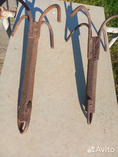 Кошка рыбацкая