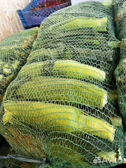 Кукуруза в початках