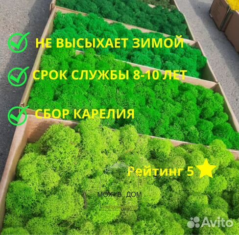 Мох ягель стабилизированный купить в Москве | Товары для дома и дачи ...