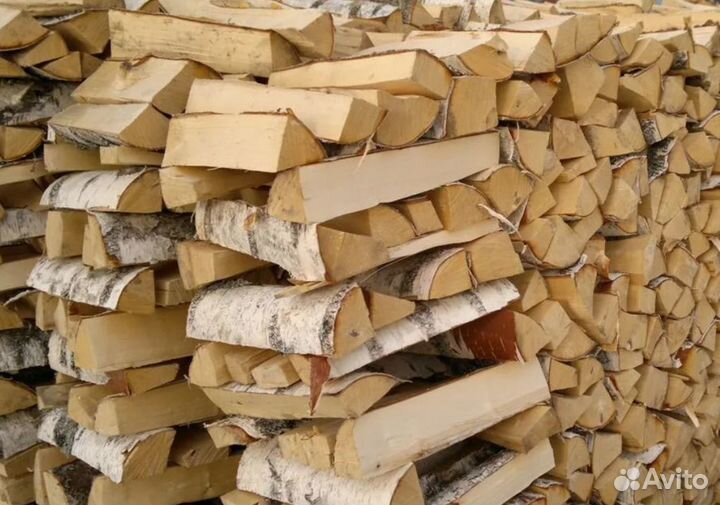 Дрова береза