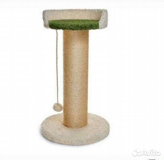 Когтеточка-комплекс