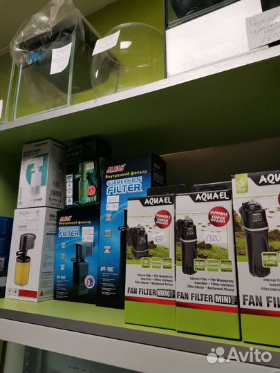 Тернеции гло glofish, данио гло