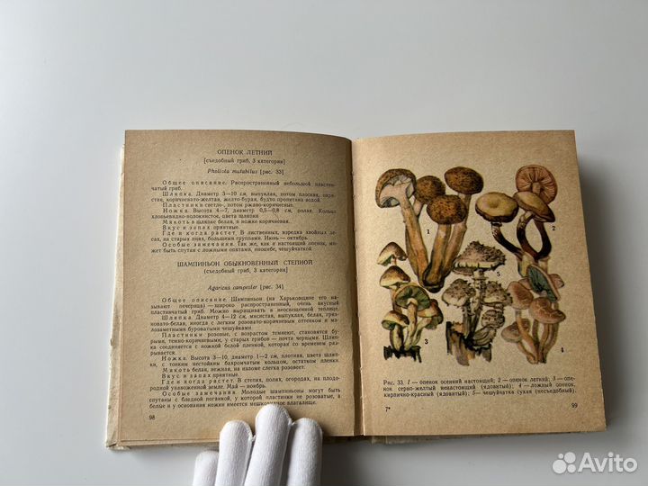 Книги о грибах