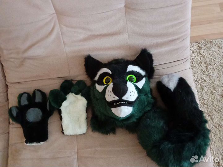 Фурсьют собаки