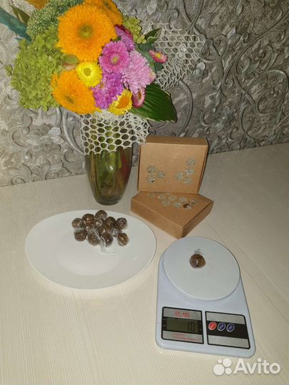 Прополис пчелиный