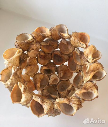 Ваза из ракушек