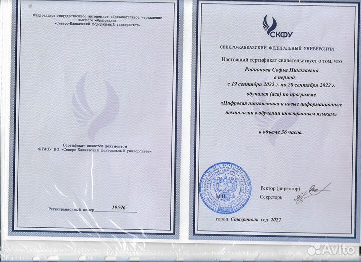 Подготовка к егэ/огэ по русскому языку