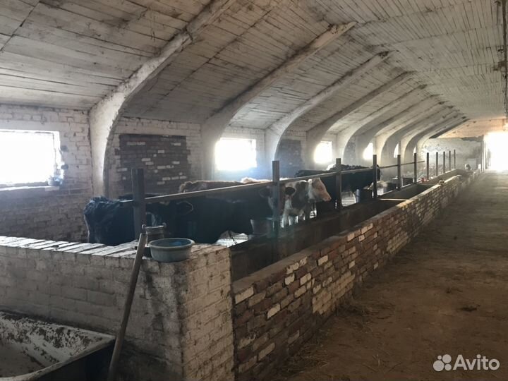 Ферма действующая