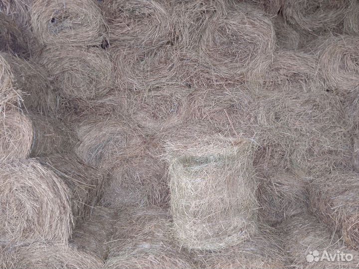 Продам сено в рулонах