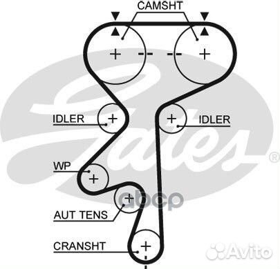 40819X24 Ремень грм opel frontera A, B 2.2 95