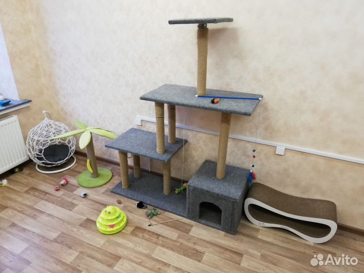 Гостиница для кошек с домашним уютом