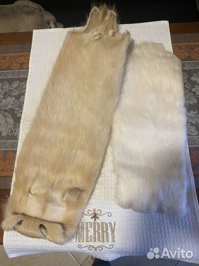 Шкурка животного нутрия