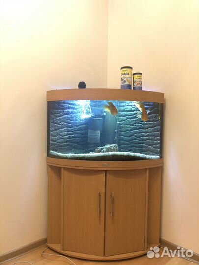 Аквариум с тумбой 240 л