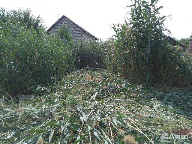 Покос травы мотокосой