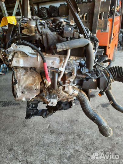 Двигатель BMW 3 G20/G21 (2019 - 3000) 2.0 B48B20A