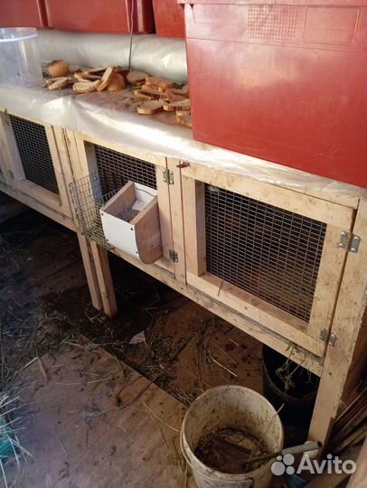 Клетки для кроликов