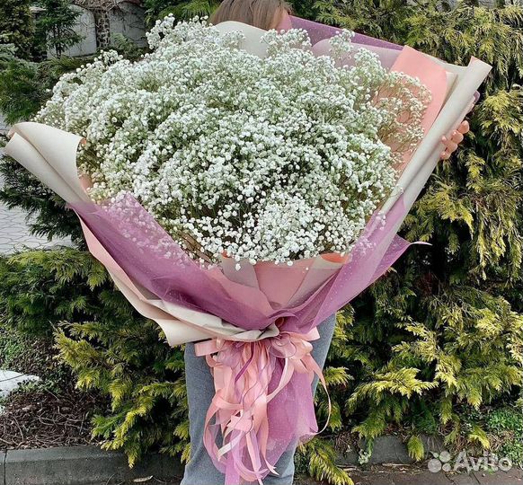 Белая Гипсофила в Букетах. Доставка Цветов