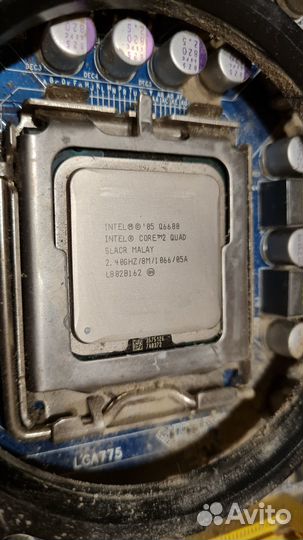 Intel core quad q6600 + GA-EP43-S3L